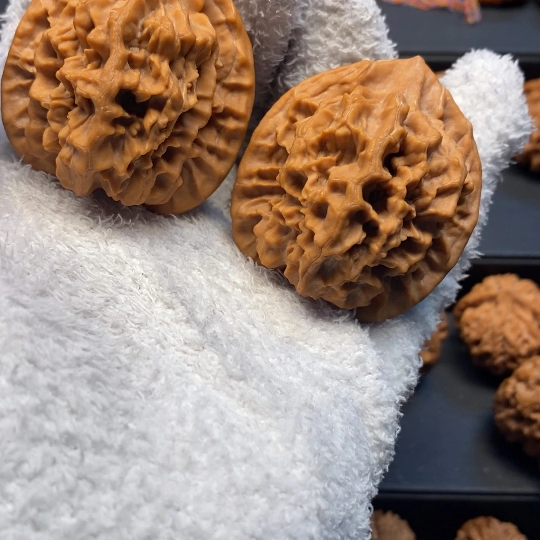 岩***理45尺秦岭野生龙纹