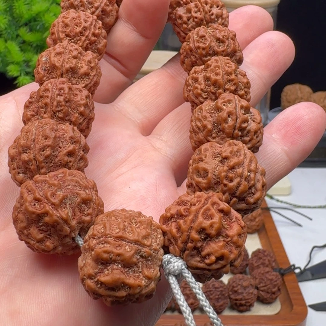 金刚菩提手串粗筋双龙