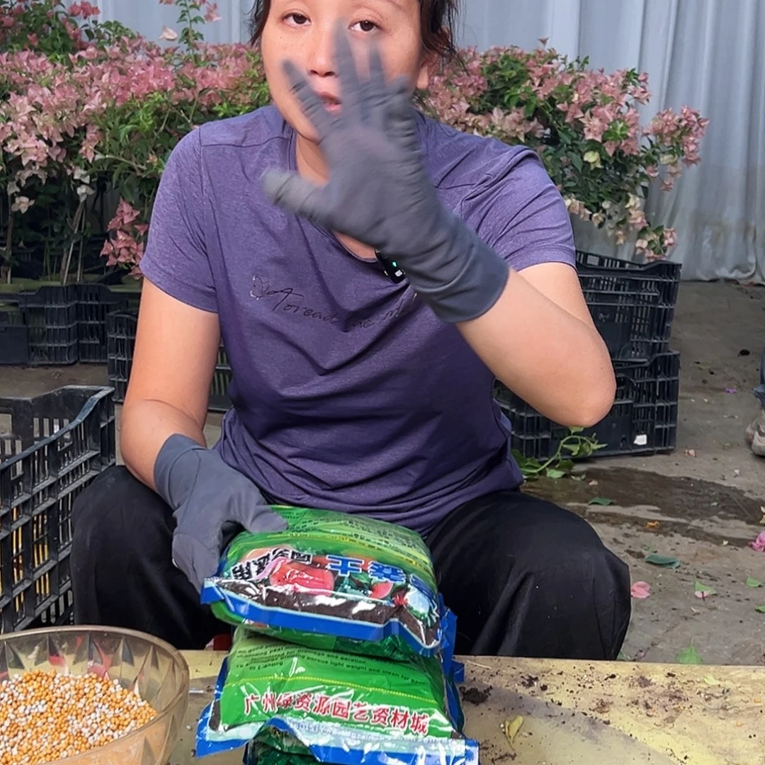 大部分花苞少量开放土5包