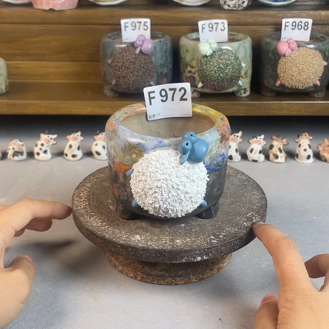 小白孤品 立体大羊 内口7左右 百搭