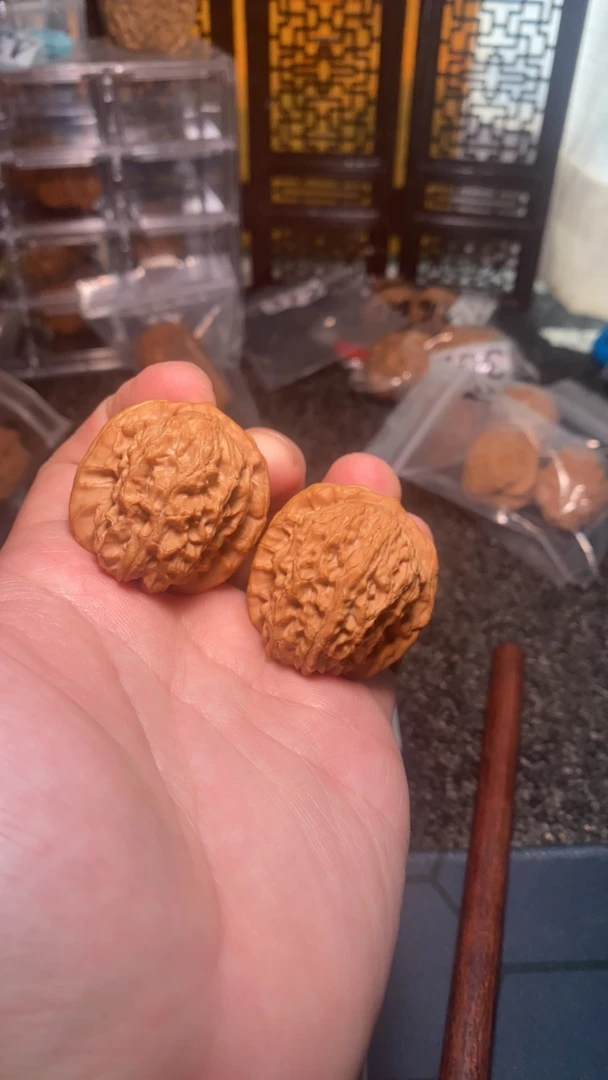 346马老四驴脸边36肚37高37全品