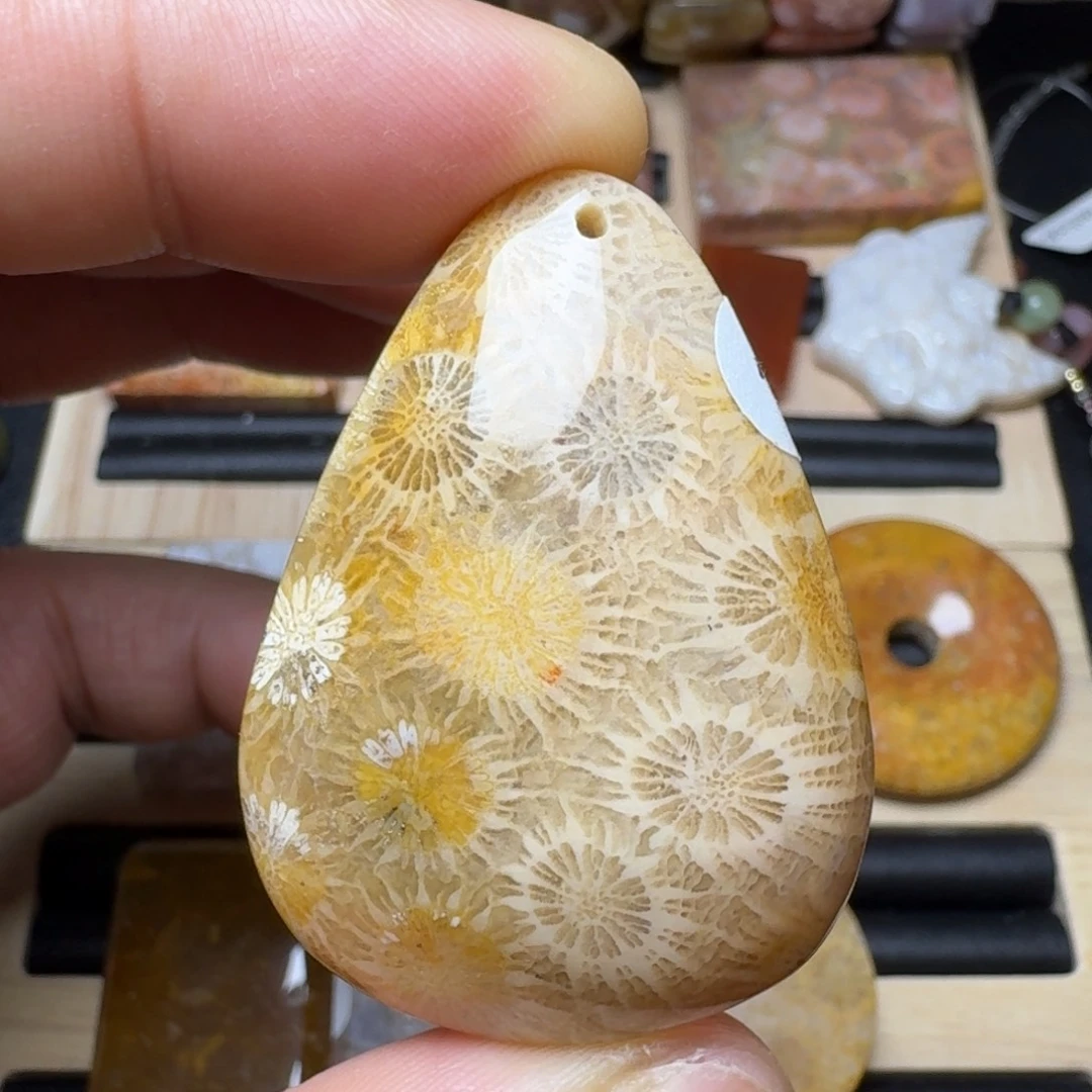 未镶嵌纯天然色有机玉石保真色硅化玉