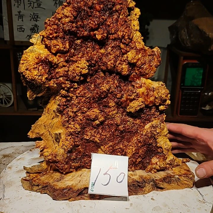 松木神****石150号北沉香琥珀木天然造型