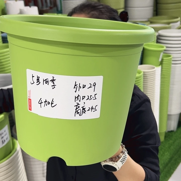 正品5号四季口29高24.5果绿无托5只