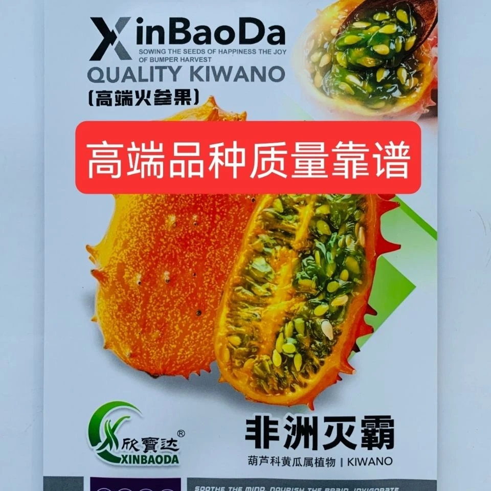 62#正品火参果种子非洲灭霸种籽刺角瓜火星果籽海参果特色水果