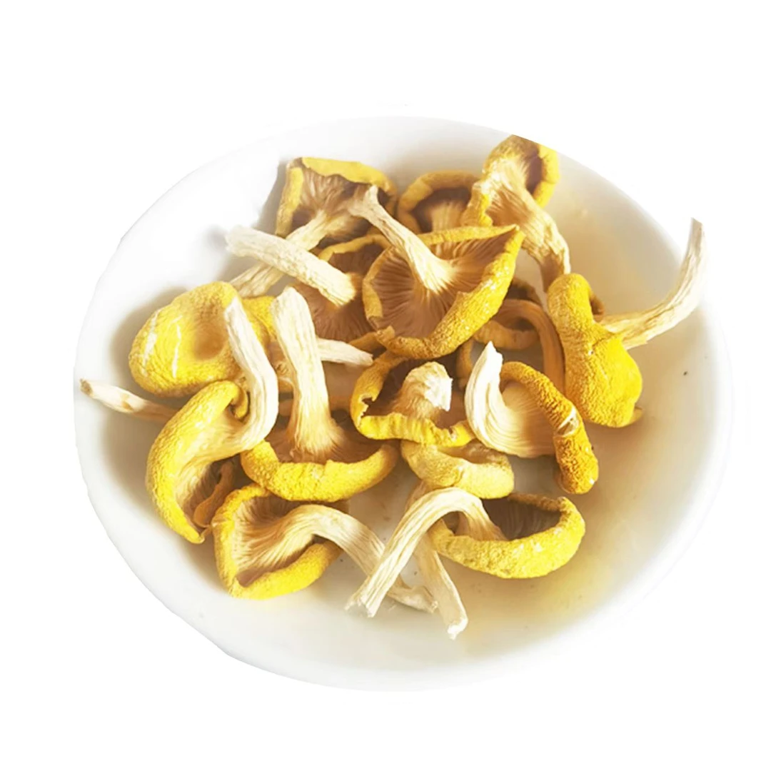 鸡油菌榆黄蘑杏黄菇干货蘑菇鸡油菇