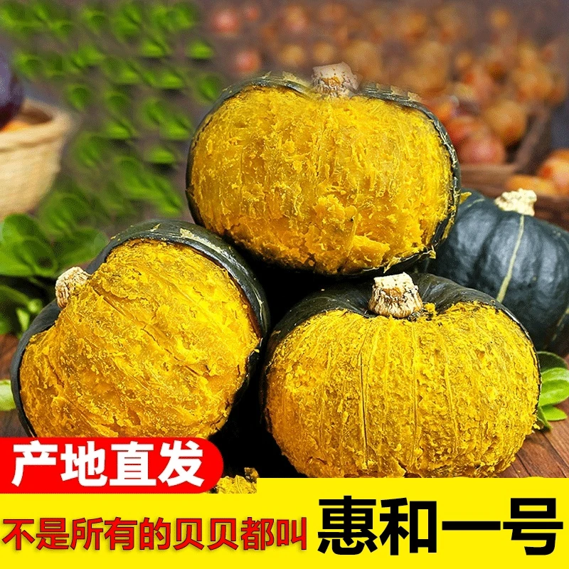 会昌独好惠和一号贝贝南瓜辅食糯香甜饱腹板栗味品质南瓜