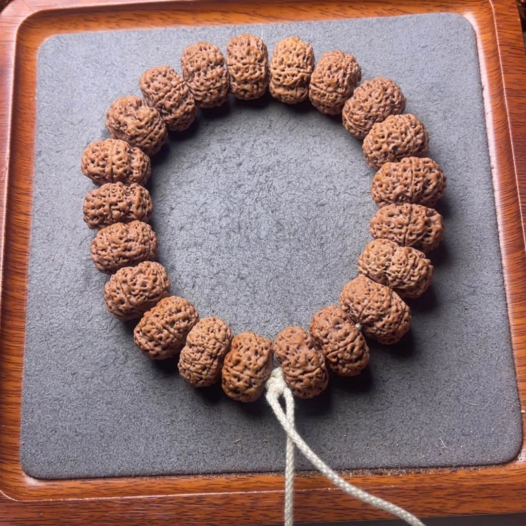 菩提5号金刚菩提蜂王夹板手持21