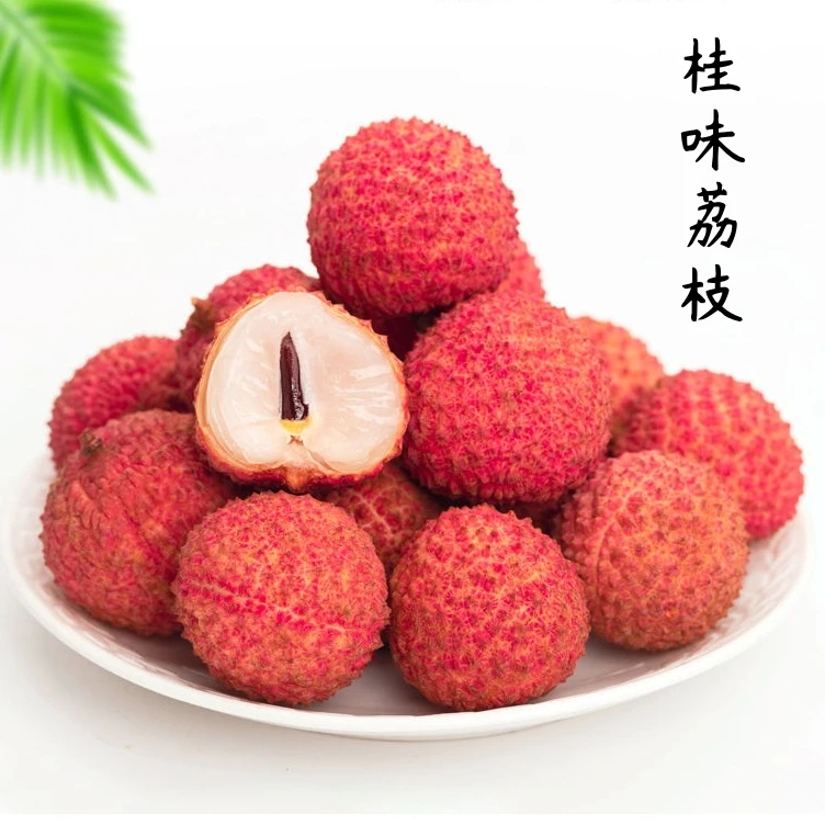 9斤顺丰高州荔枝桂味糯米糍白糖罂妃子笑新鲜现摘产地直发冷链