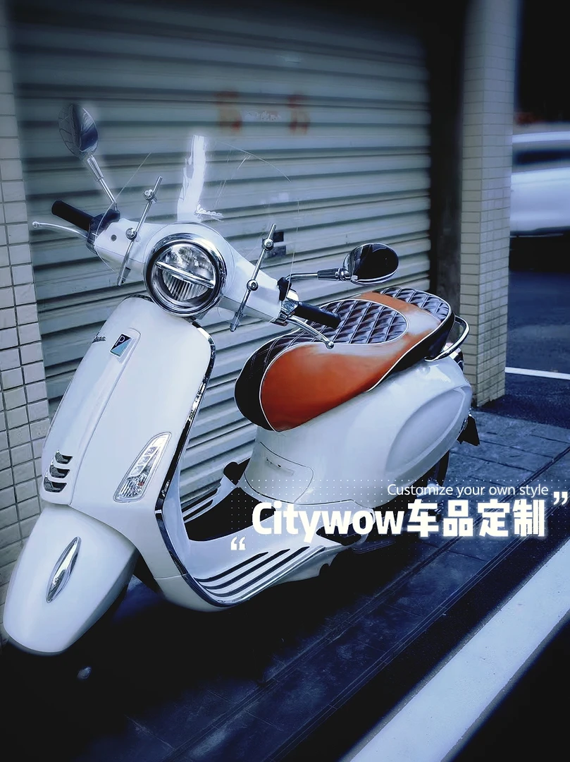 适用于维斯帕系列vespa春天冲刺150改装坐垫座椅文艺复古坐垫专用
