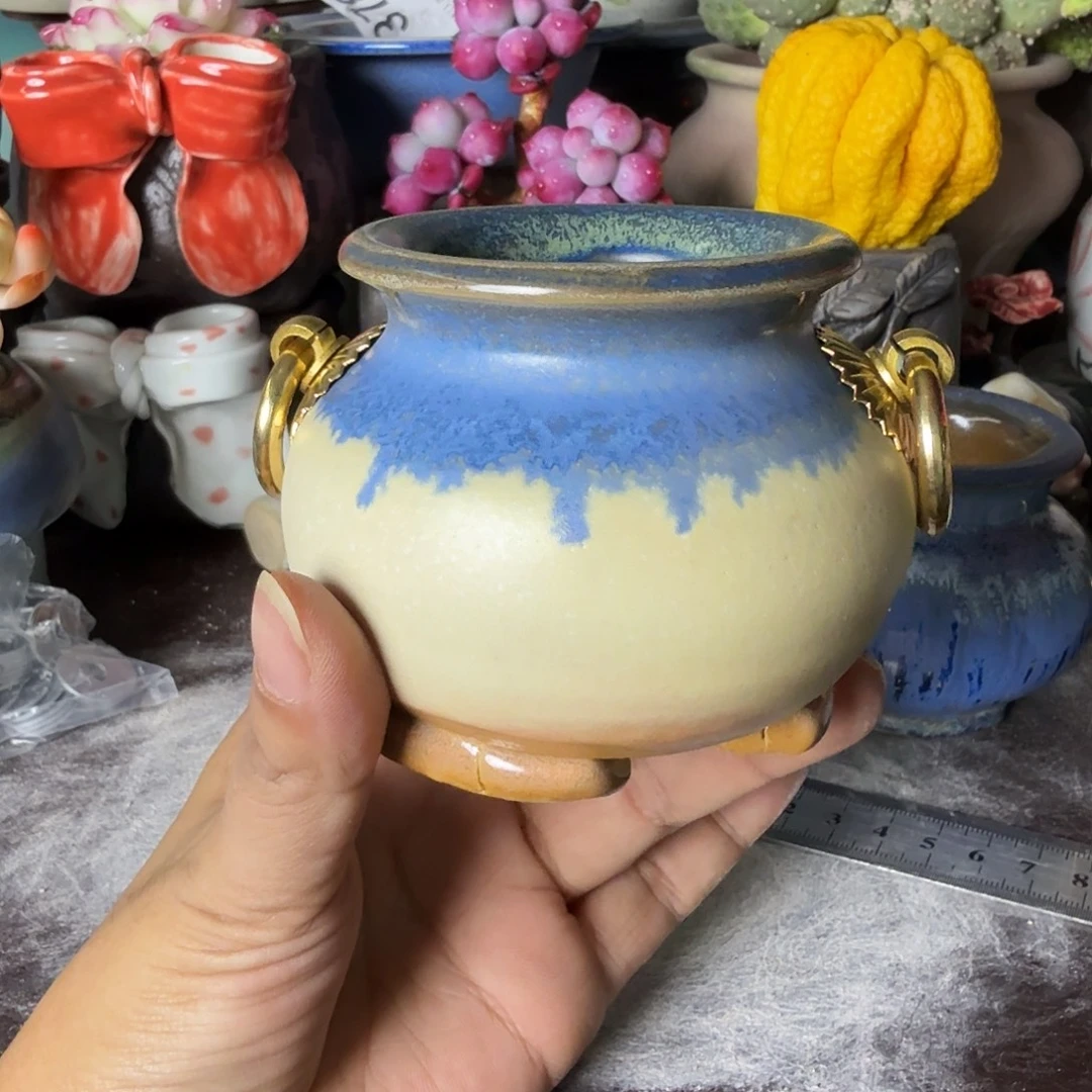 重庆小燕子欢迎大家