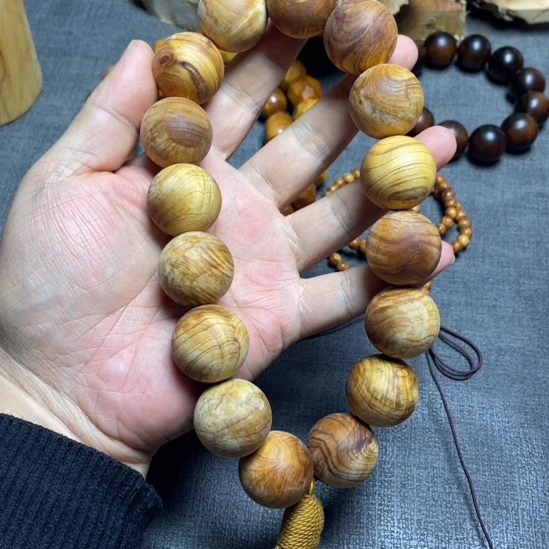 柏木（崖柏）太行2.5毛珠