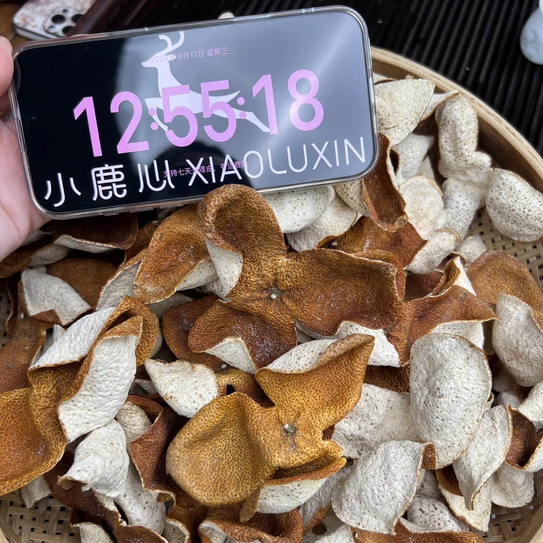 2024新会梅江圈枝大红新皮 ①小鹿收茶  新会新皮 9月17/2