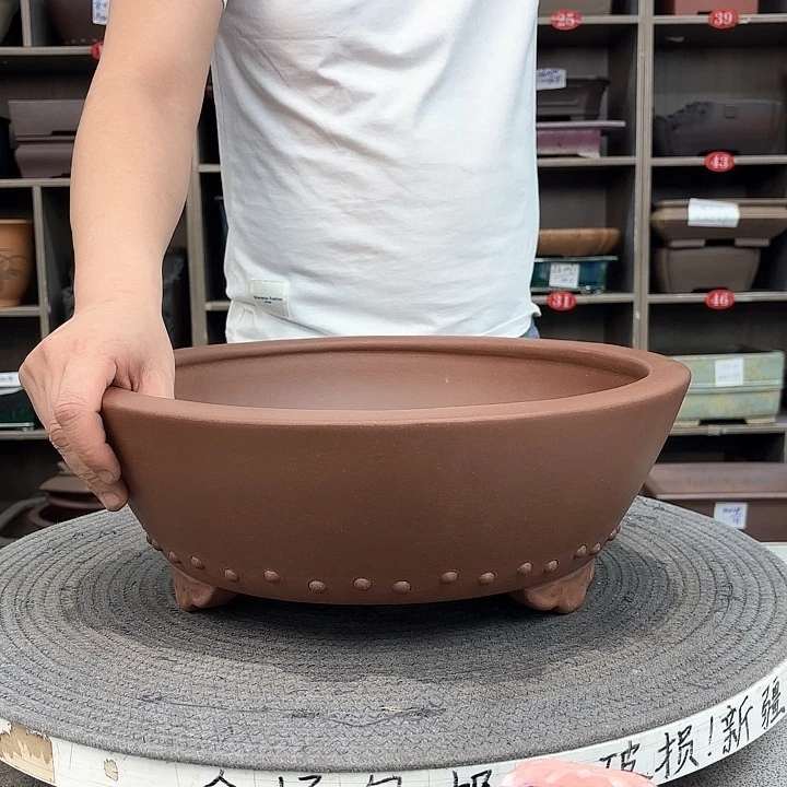 紫砂花盆紫砂的花也太