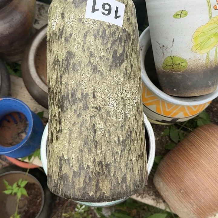 用***0161花盆一个一物一拍