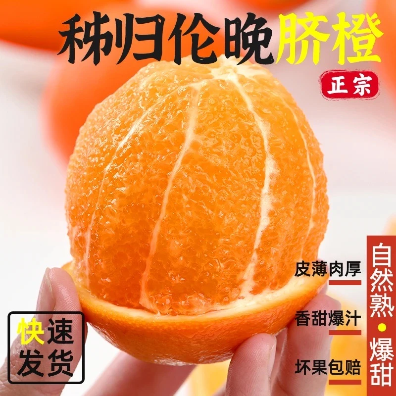 湖北伦晚春橙新鲜橙子水果冰糖橙子皮薄甜当季水果多汁柑橘