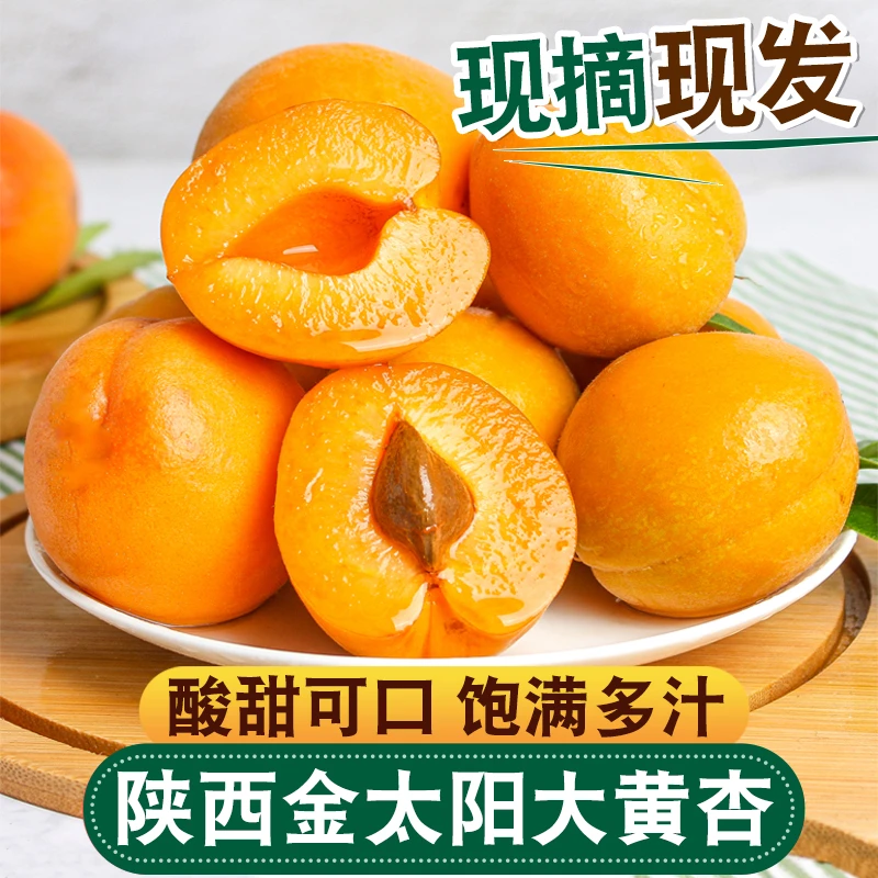 【头茬】陕西大黄杏带箱5斤金太阳杏子新鲜应季水果现摘现发