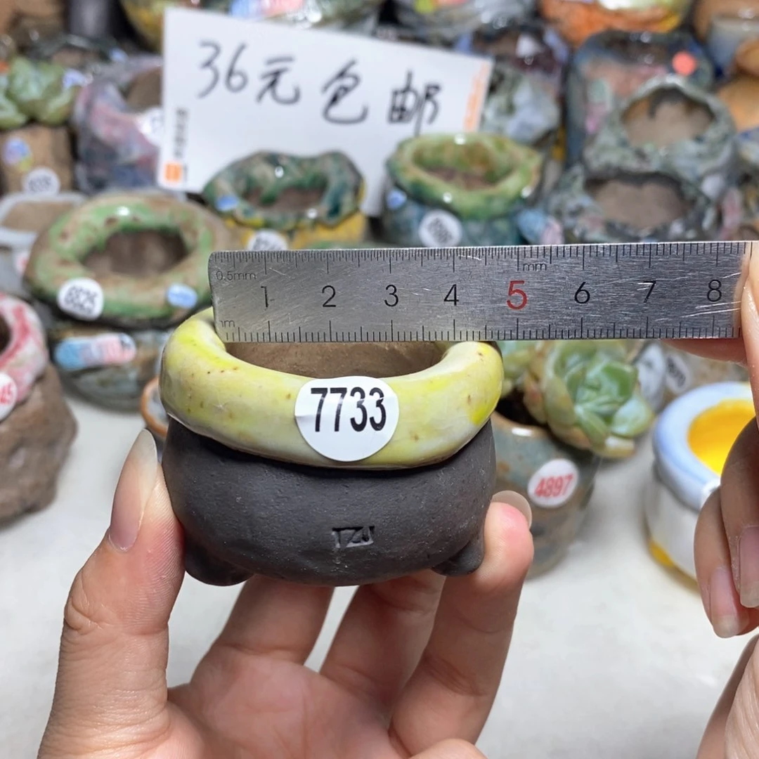 拍3送一个小礼物