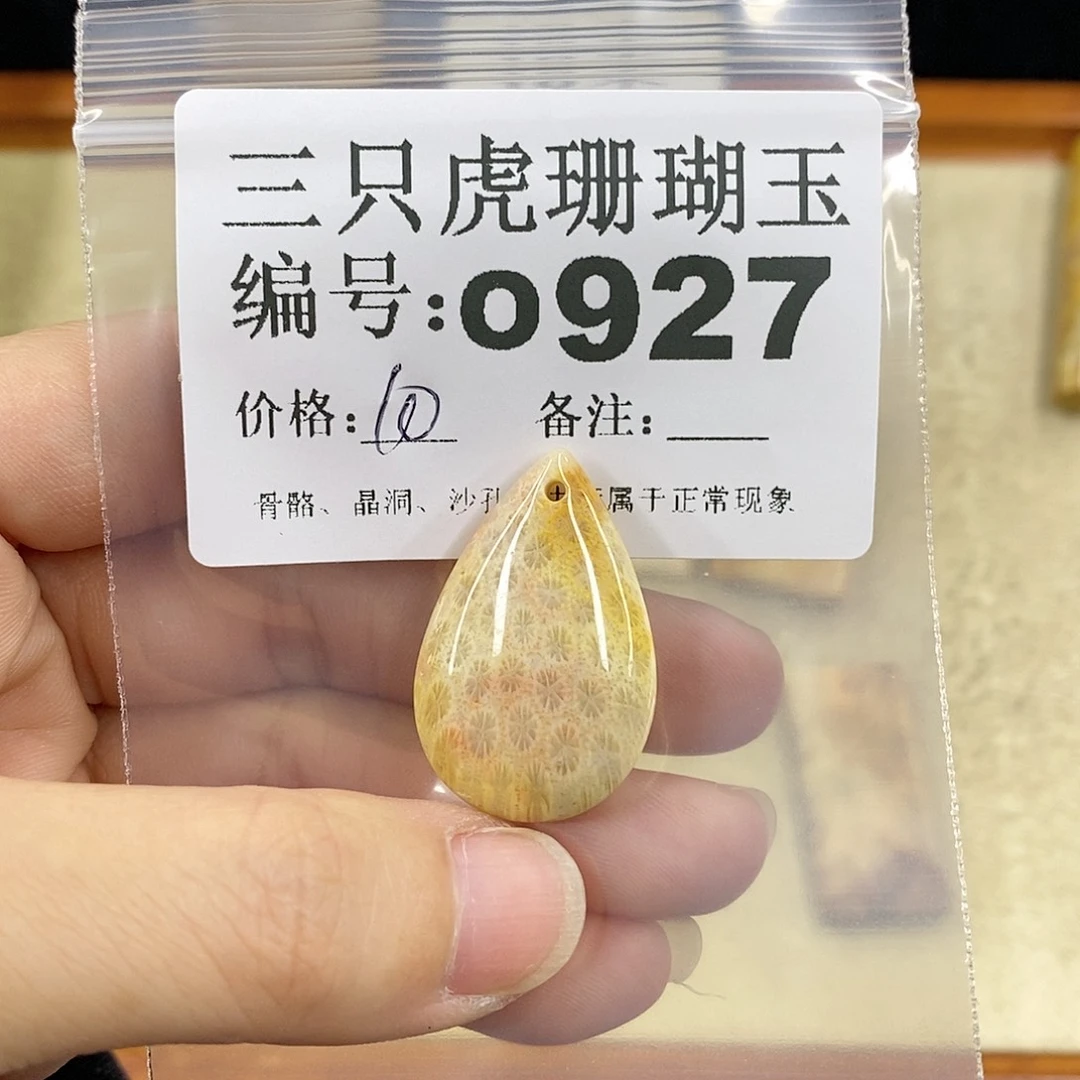 硅化珊瑚（珊瑚玉）1未镶嵌汪****)