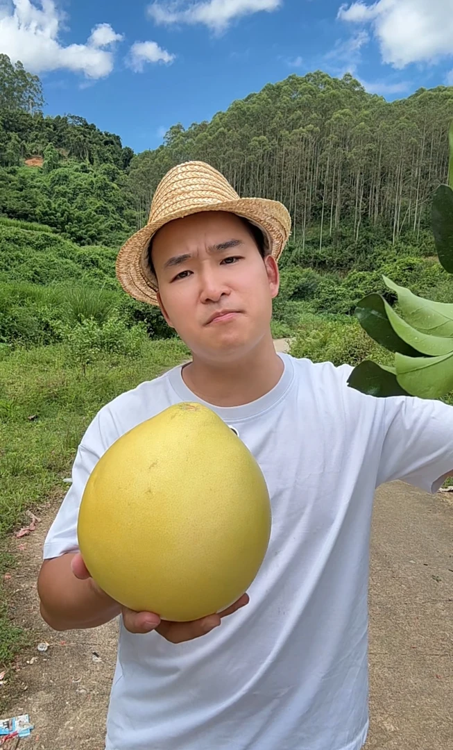 广西现摘红肉蜜柚当季新鲜水果皮薄肉厚多汁