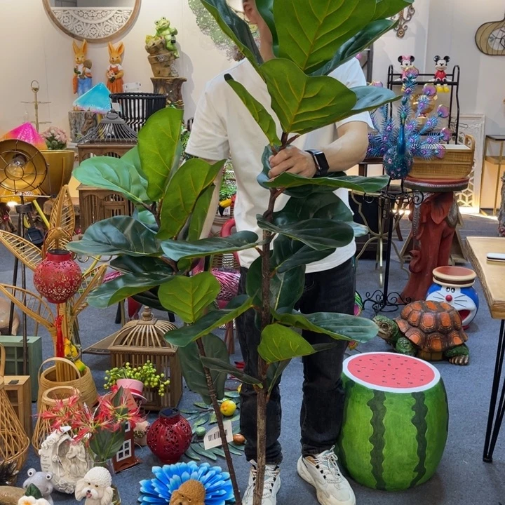 哈哈哈哈哈哈哈哈哈哈绿植