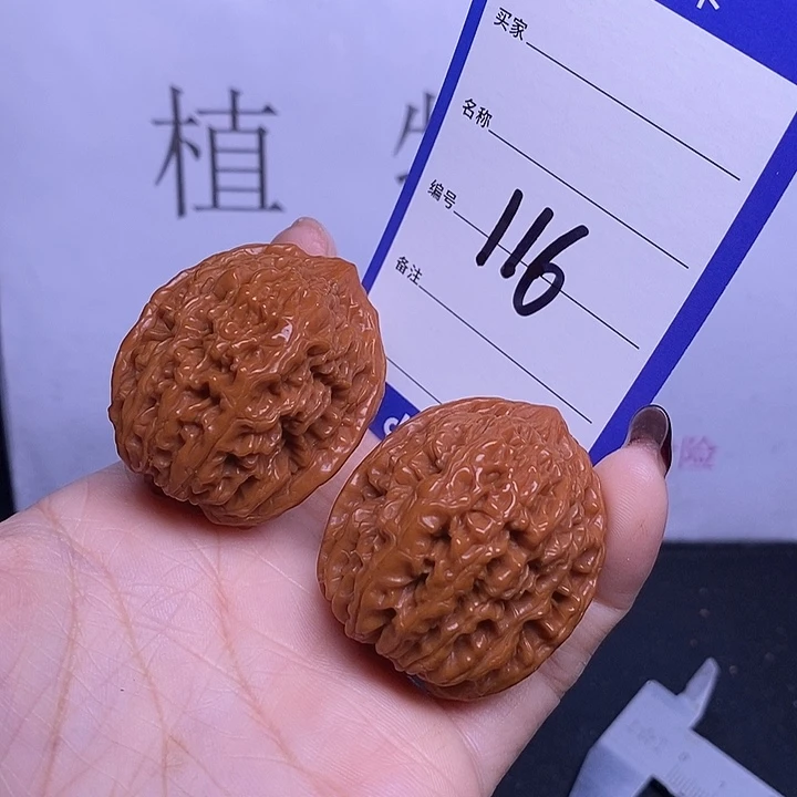 文玩核桃把件116/36蒜头