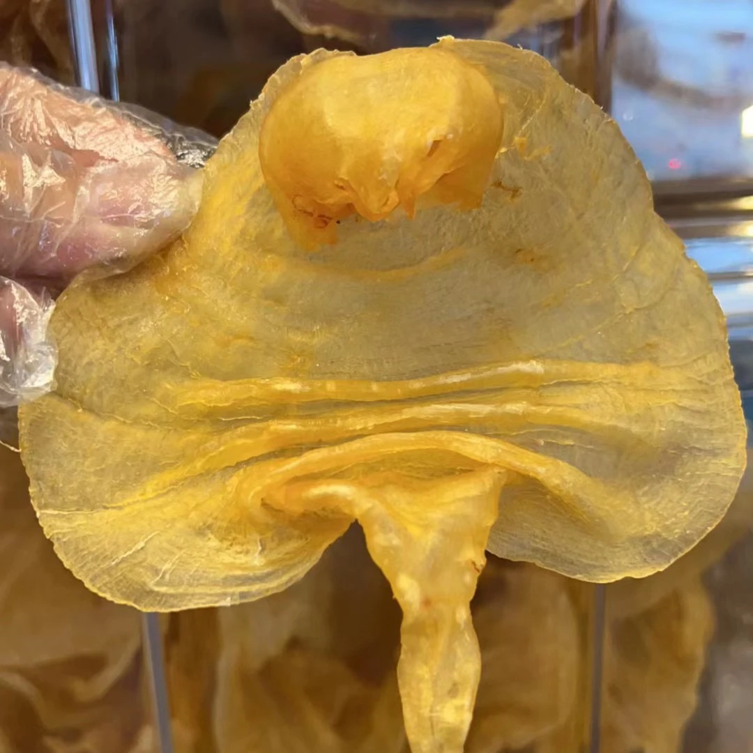 广东湛江赤嘴母胶，营养丰富，滋补佳品