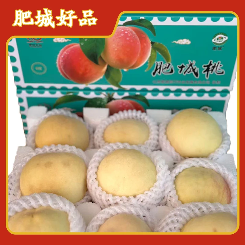 山东肥城正宗水蜜桃新鲜现摘脆甜多汁精美礼盒装