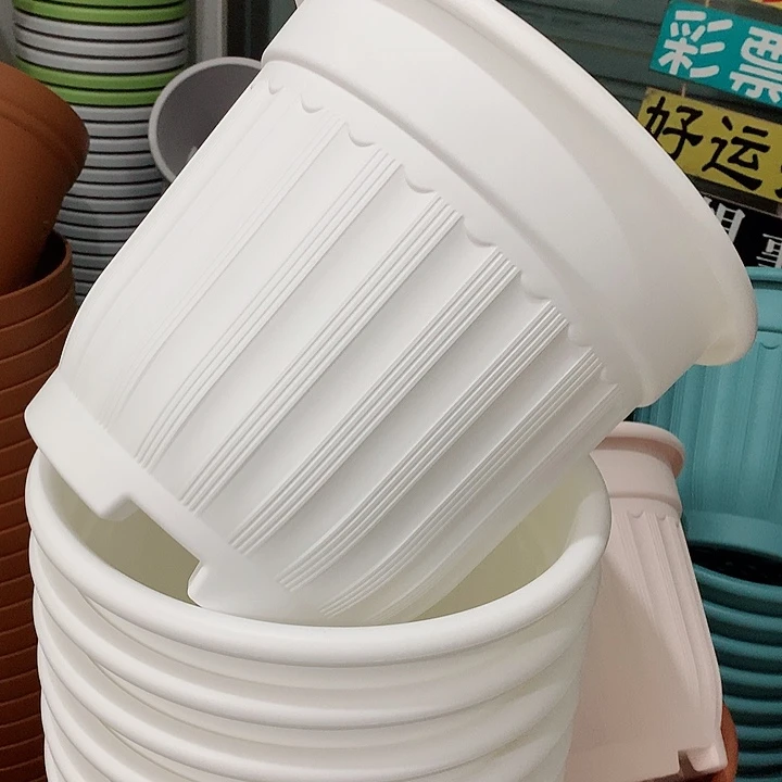 罗马口32高28白3个无托
