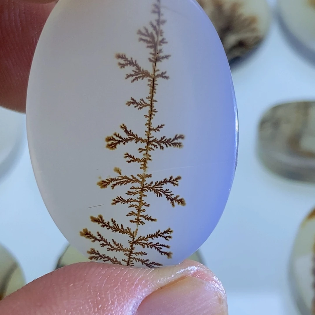 【闪购商品】未镶嵌颈饰玛瑙/玉髓老*
