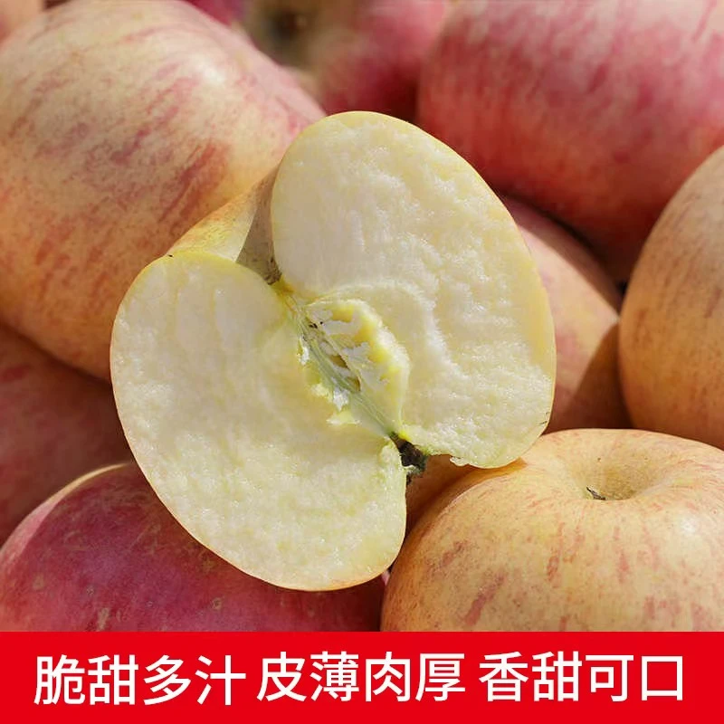 烟台栖霞条纹红富士苹果【直供】