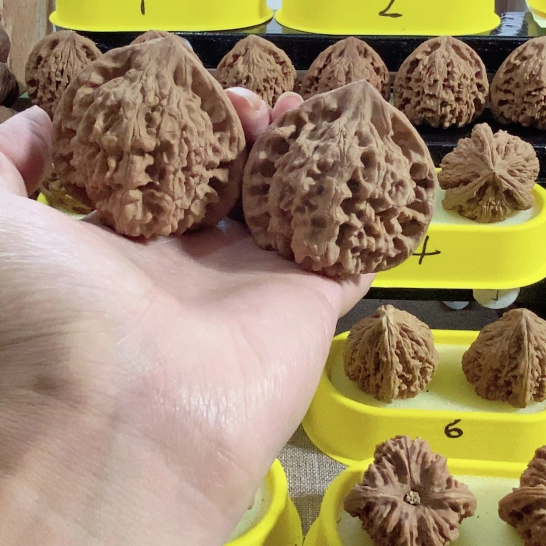 木质类54尺69克老官帽