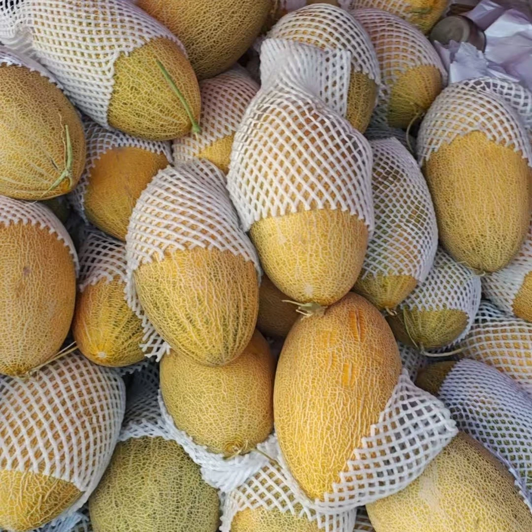 【顺丰包邮】大哈密瓜86王脆甜可口当季好吃新鲜，新疆直发