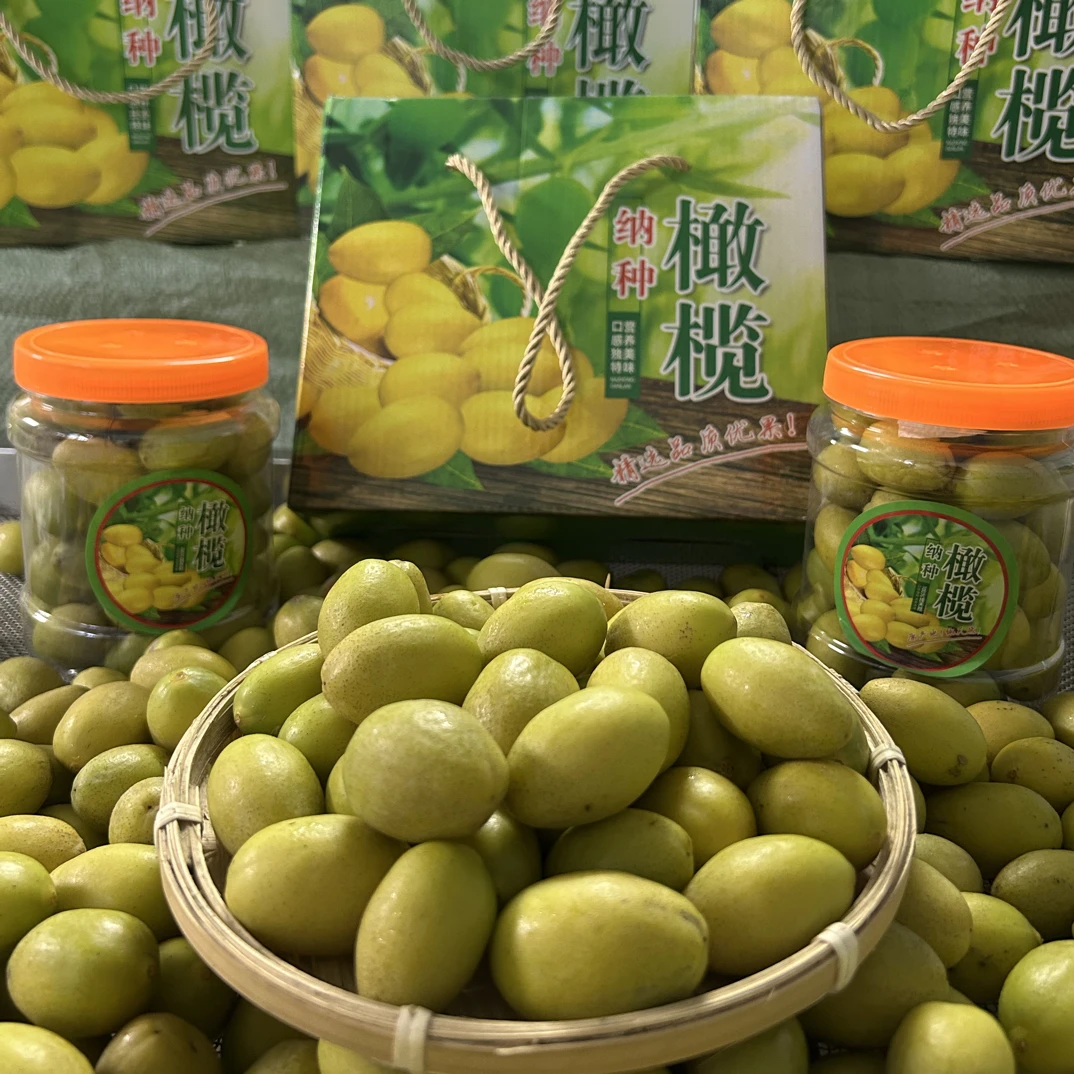 【暴兔侠专属礼盒装橄榄】潮汕金灶本地老枞纳种橄榄 回甘香好 不甜