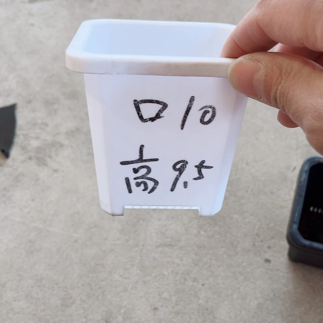 塑料升级款景天10方白色盆15个无托