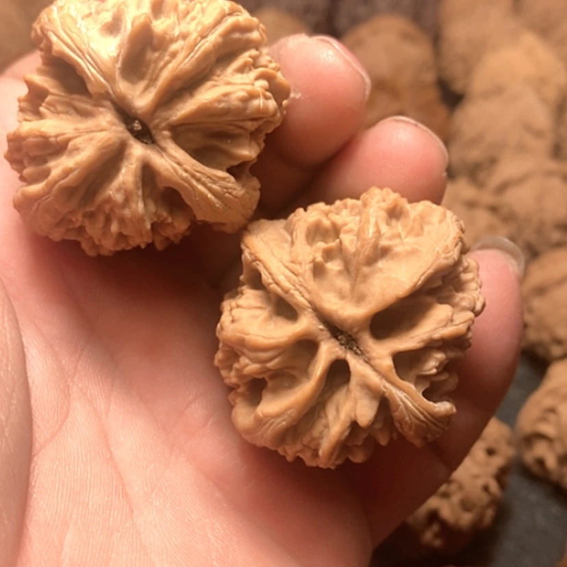 【闪购商品】星*大古石