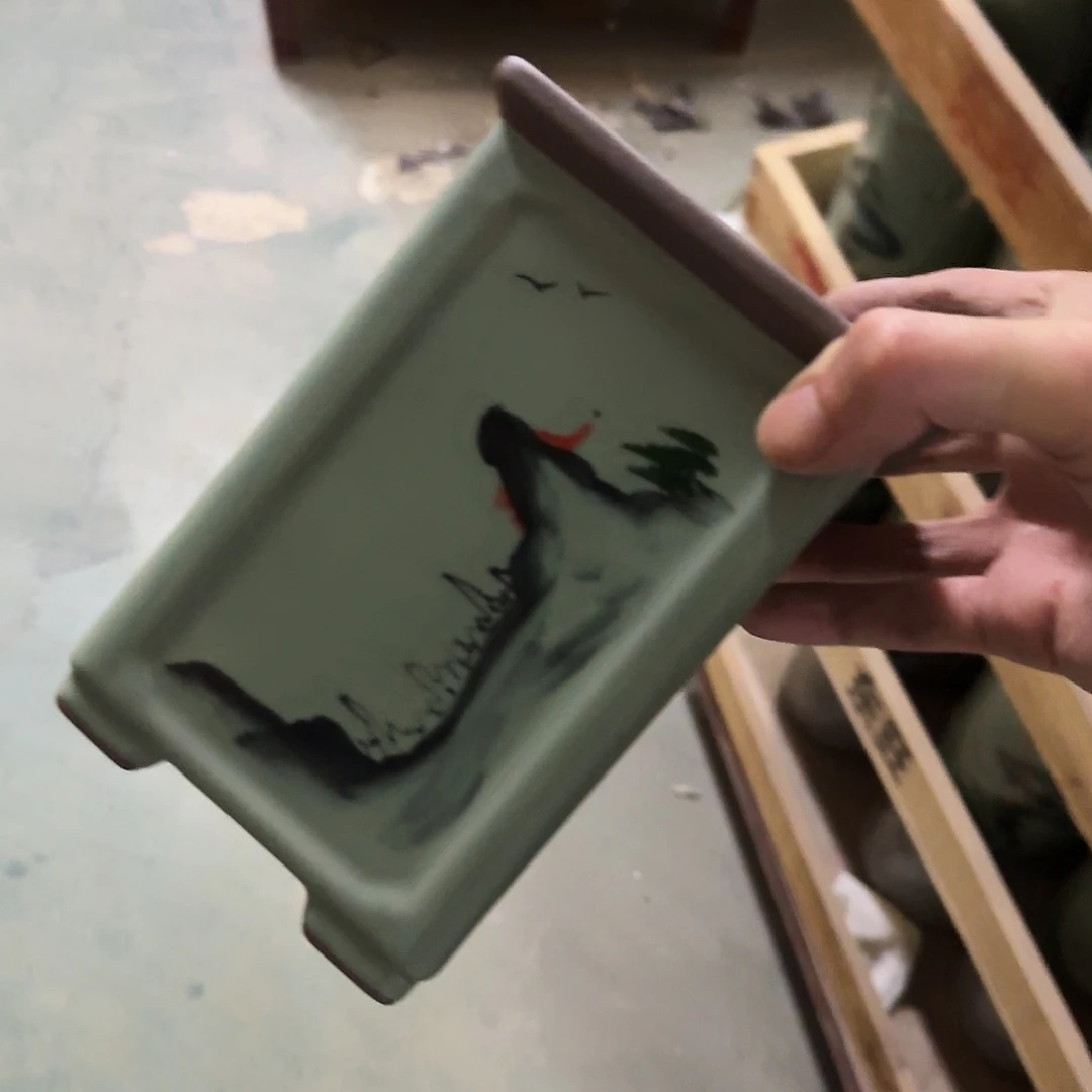 福利局绿植多肉盆［凑9元包邮24小时发］