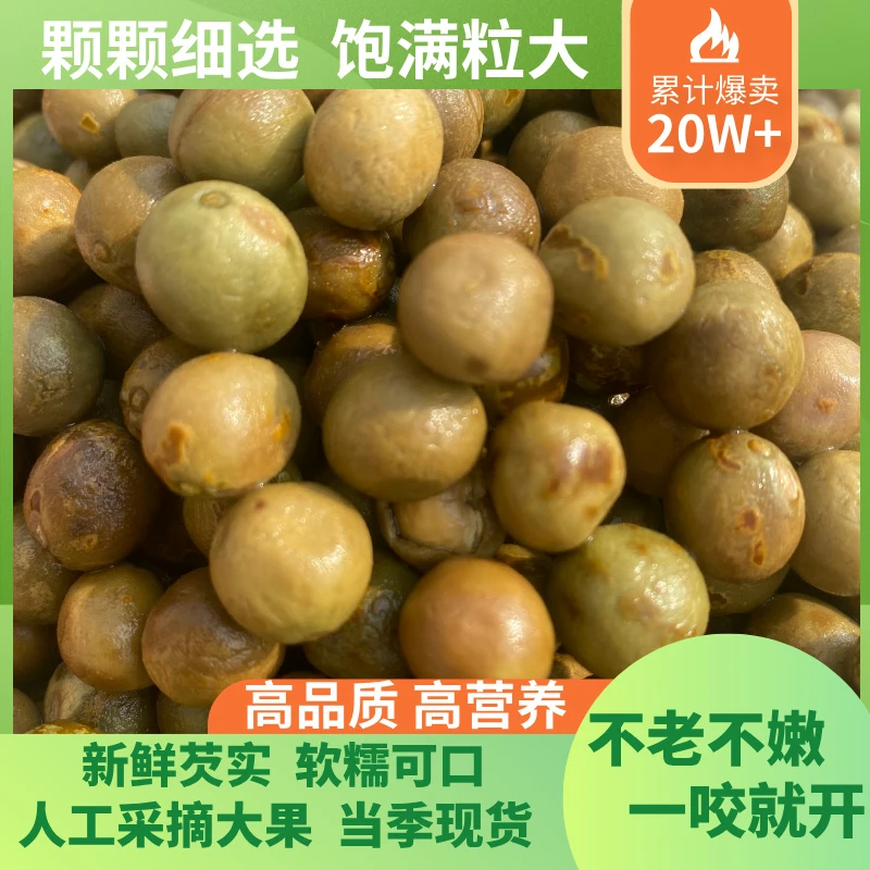 2025新鲜芡实鸡头果不老不嫩软糯可口尊级大果颗颗饱满农产品直发