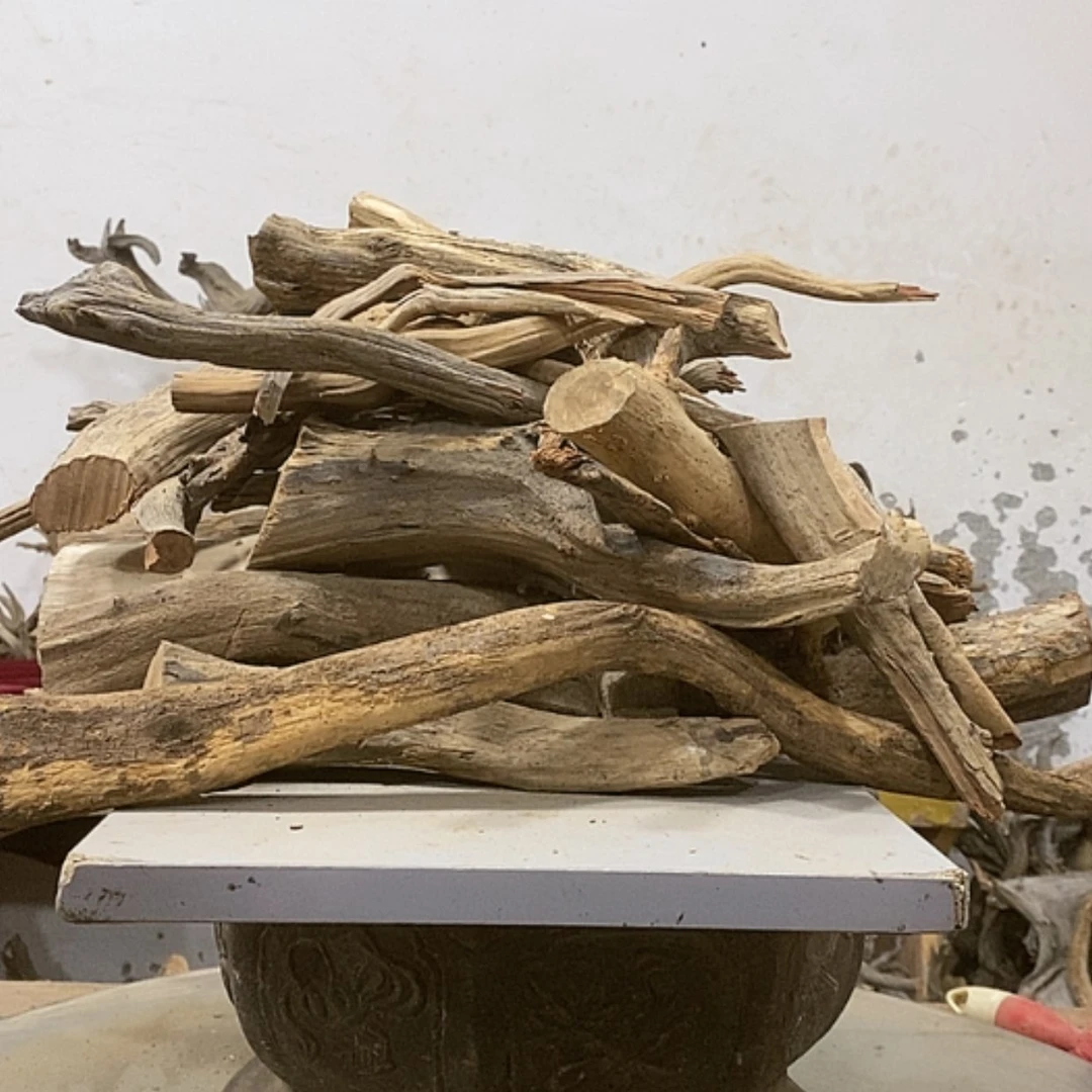 【闪购商品】柏木左**计我们都是好孩子