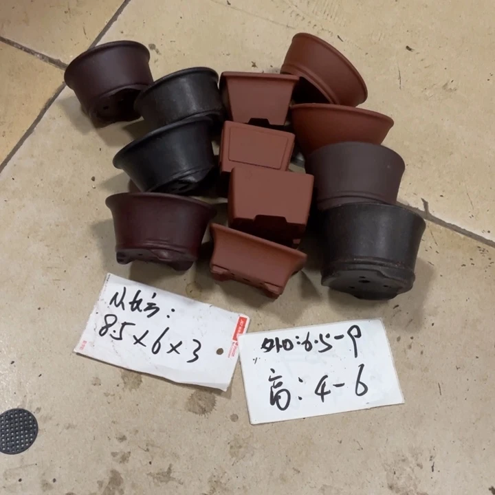 紫砂花盆紫砂花盆0012