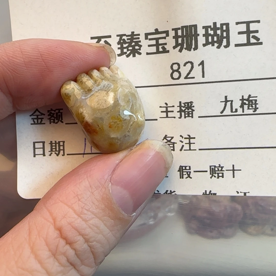 硅化珊瑚（珊瑚玉）未镶嵌吊坠(不含链)