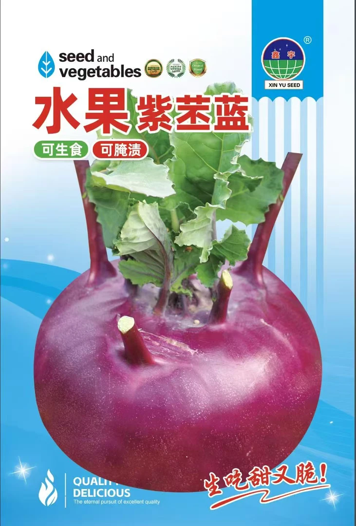 水果紫苤蓝种子种子
