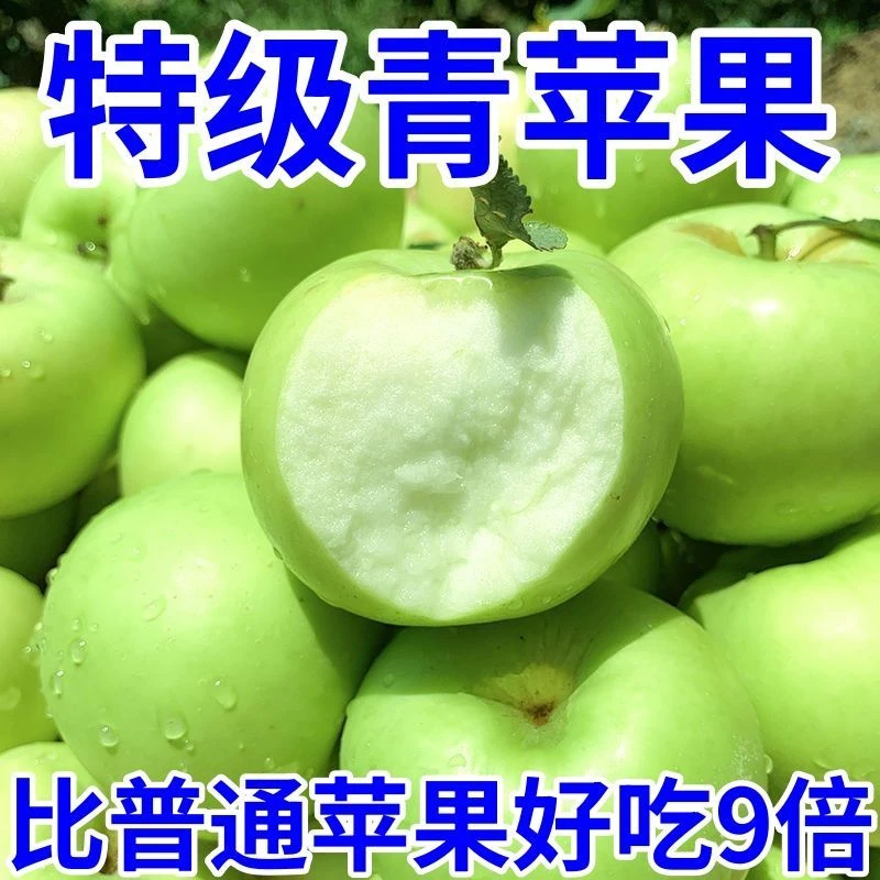 头茬现摘新鲜青苹果当季应季水果酸甜脆爽可口Hu