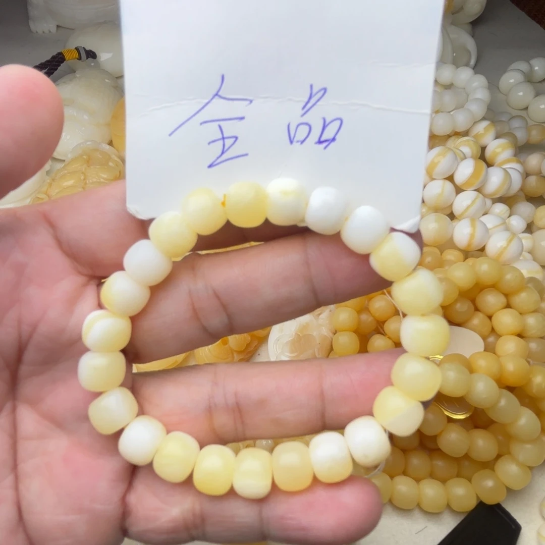 非金属贝壳天然贝壳