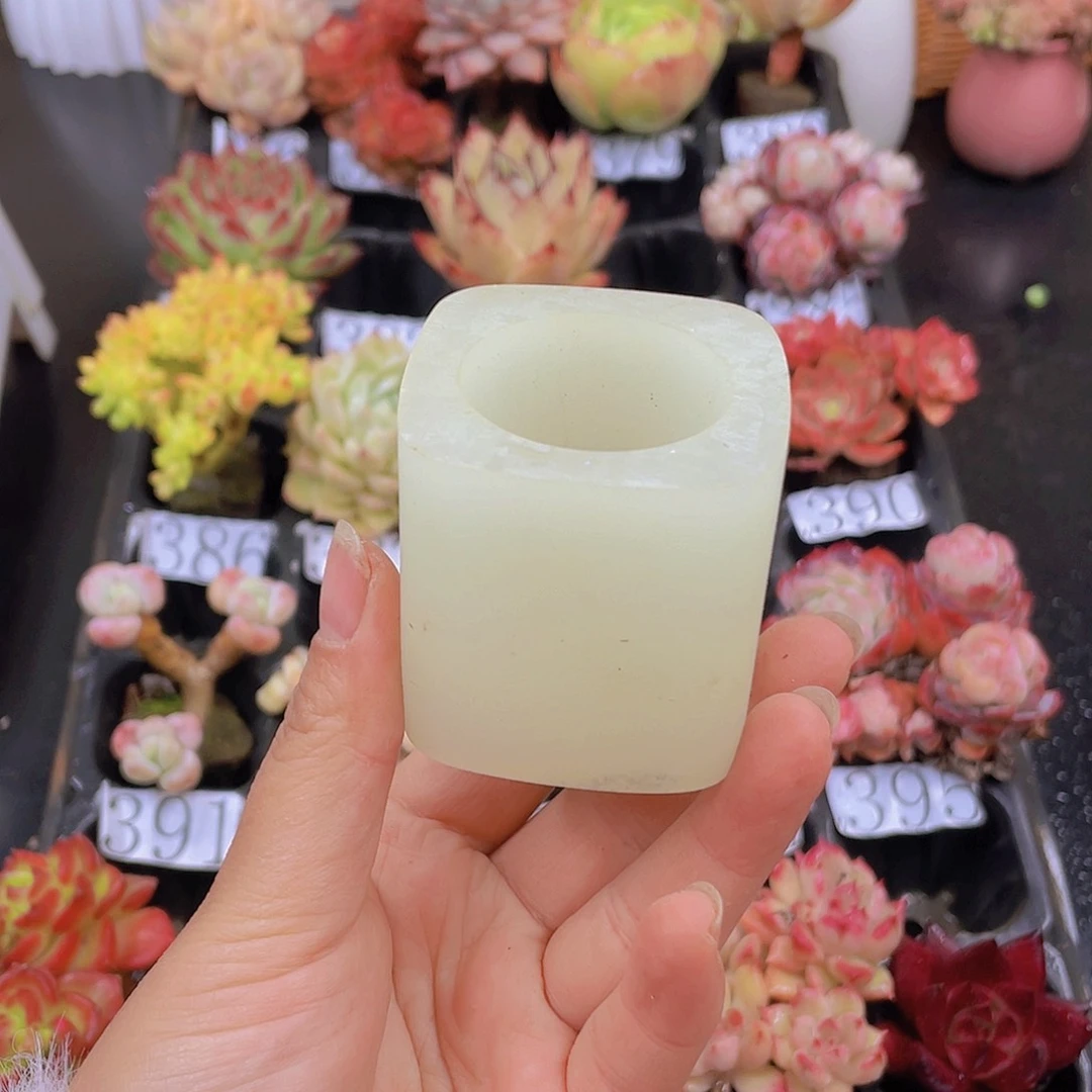 多肉无土栽培多肉植物