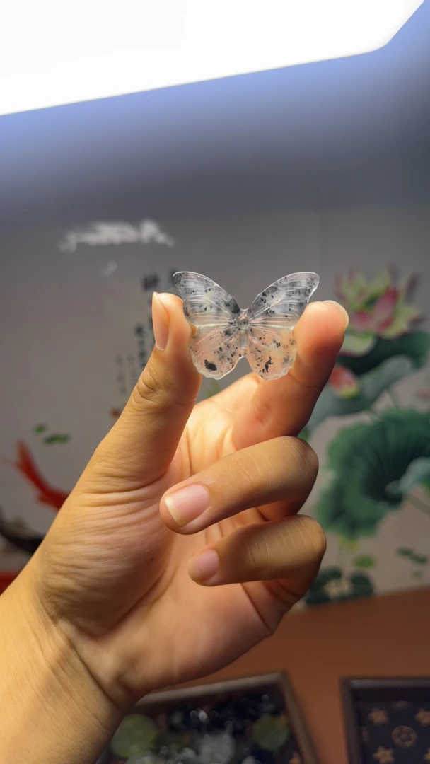 小蝴蝶带点墨特色款式