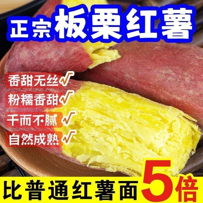正宗【沙地板栗红薯】板栗红薯地瓜干面粉甜皮薄健康营养粗粮新鲜