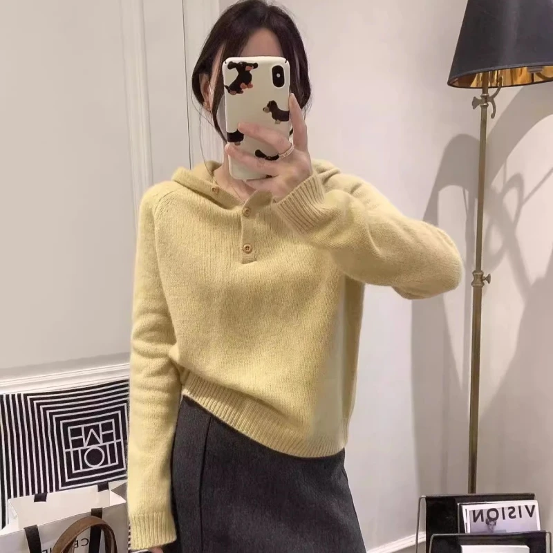 网红慵懒风连帽羊毛针织衫休闲百搭打底帽衫秋冬宽松厚款带帽毛衣