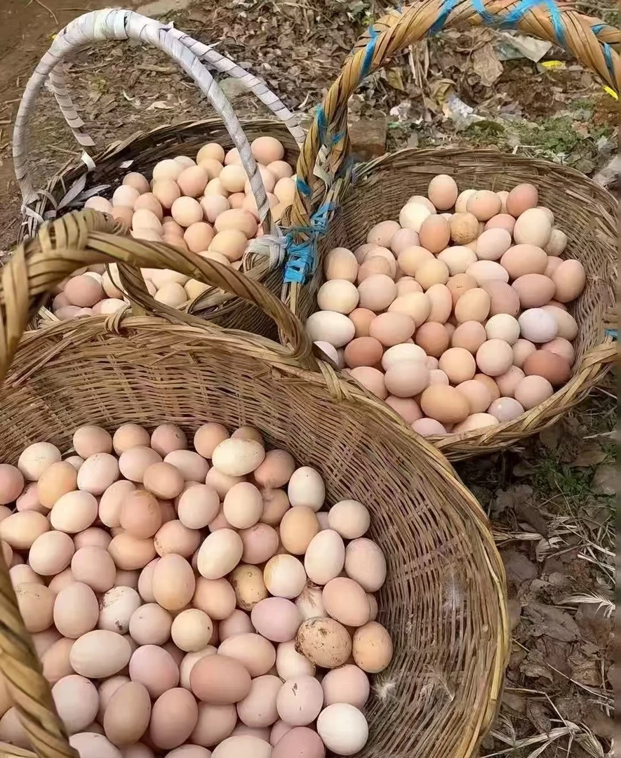 湖北新鲜粉壳鸡蛋【30枚粉壳】