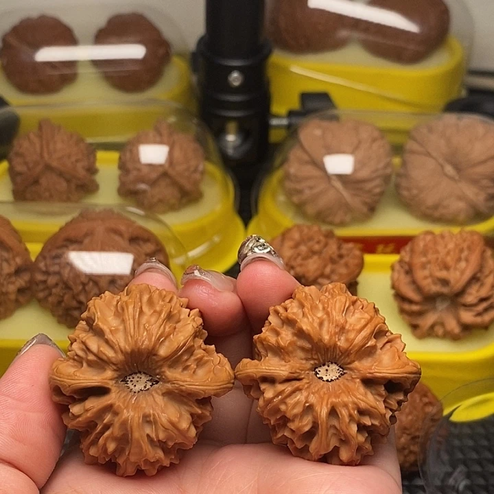 晨***曦40凹底龙门涧